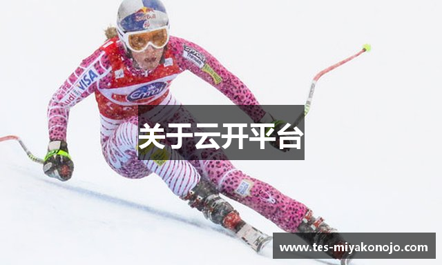 关于云开平台